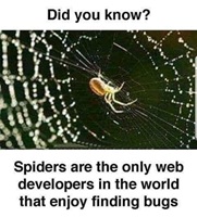 Spider are web developers who enjoy finding bugs